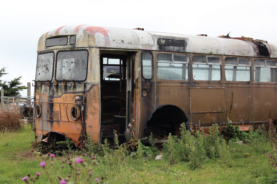 Dunedin Bus 1 by Tim Jepson