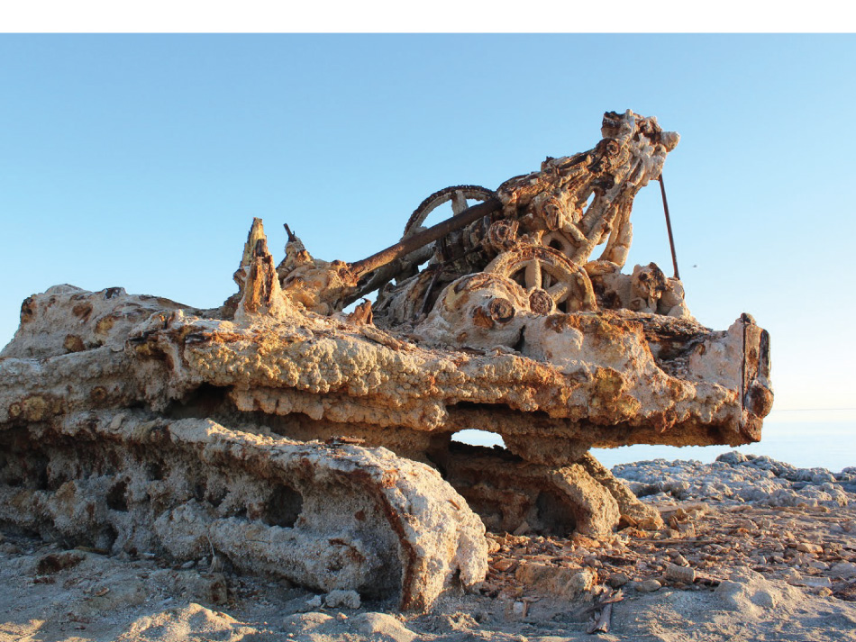 Salton Sea Rusty Crane 2 by Tim Jepson